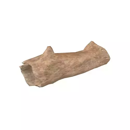 Fallen Tree Trunk v1 002