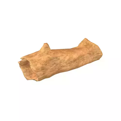 Fallen Tree Trunk v1 003