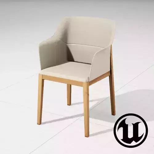 Molteni and C Tivan Chair UE4