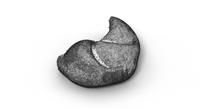 Bun 004 3D model 6