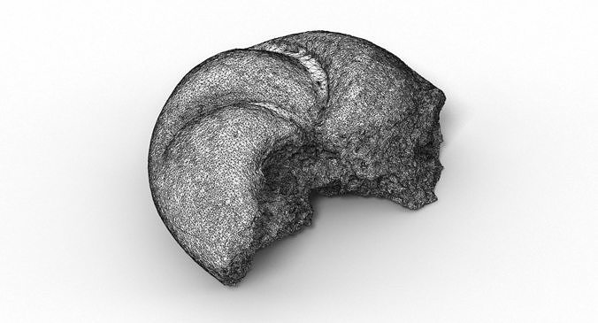 Bun 004 3D model 3