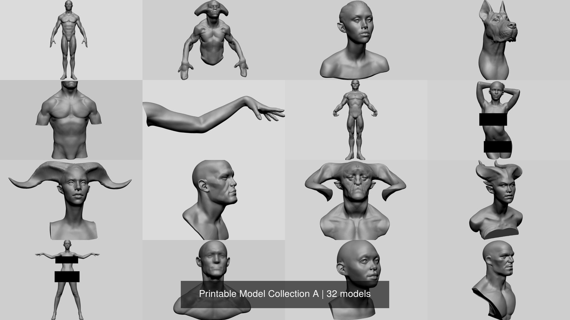 Printable Model Collection A man _2