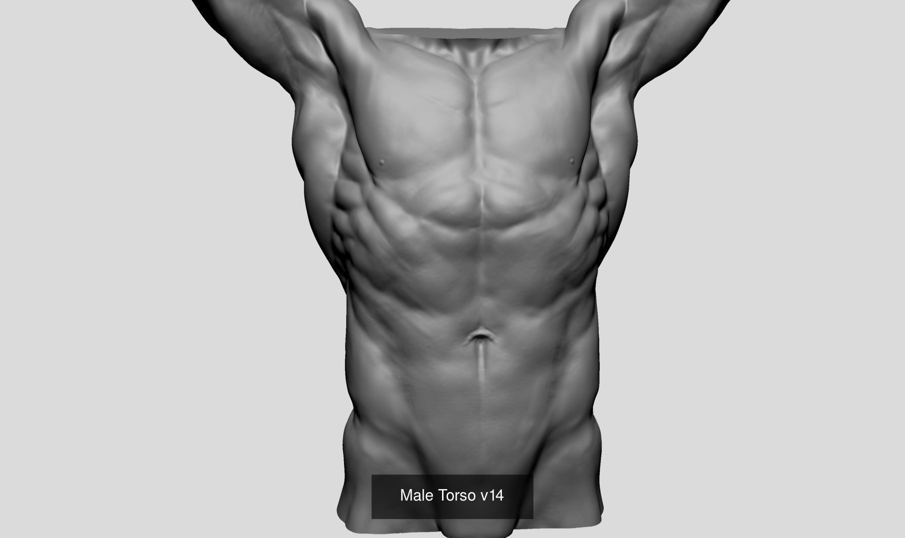 Printable Model Collection A man _8