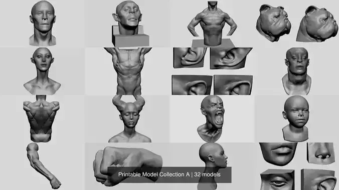 Printable Model Collection A man 