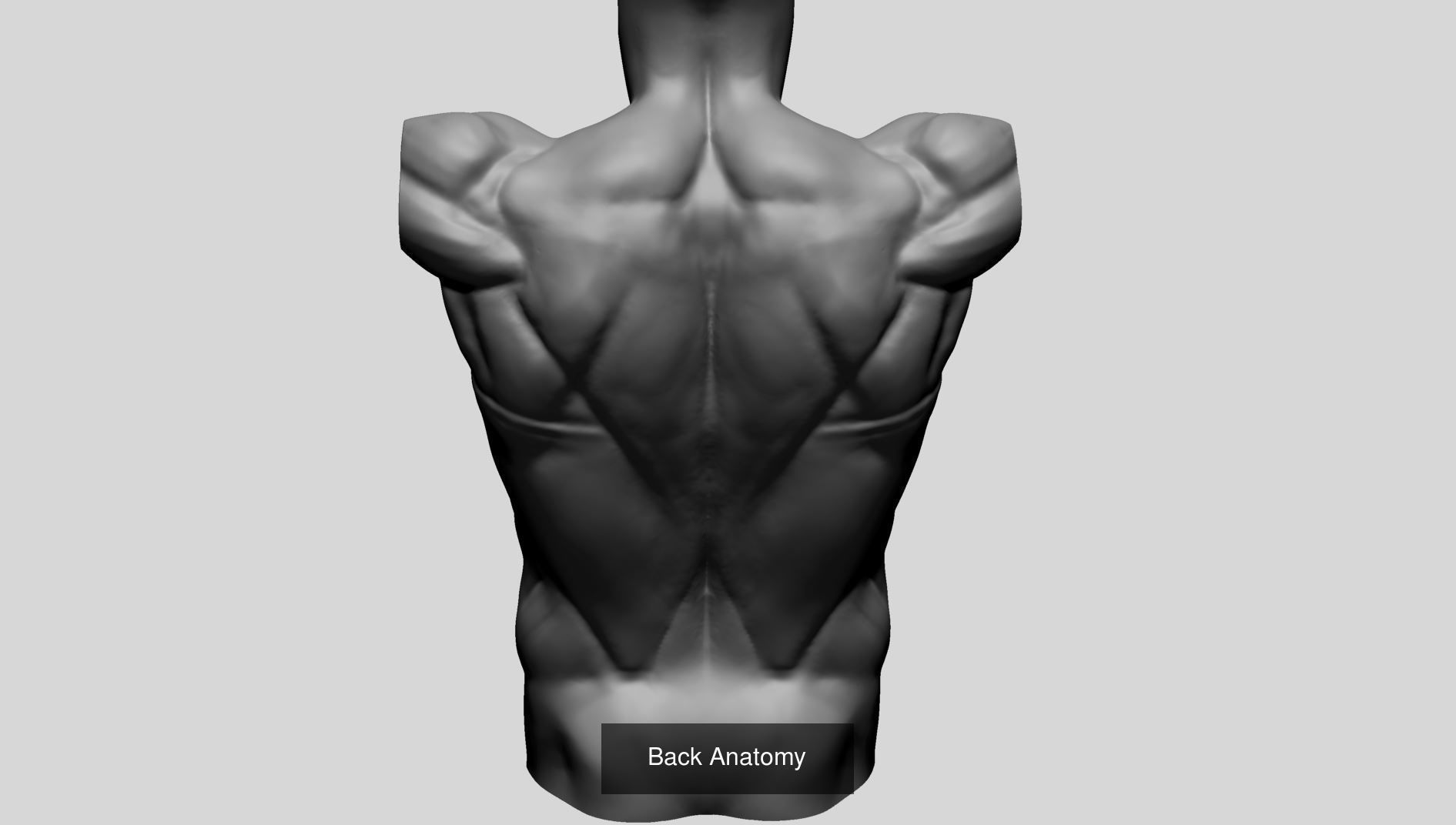 Printable Model Collection A man _11