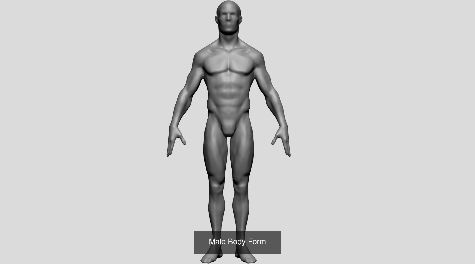 Printable Model Collection A man _19