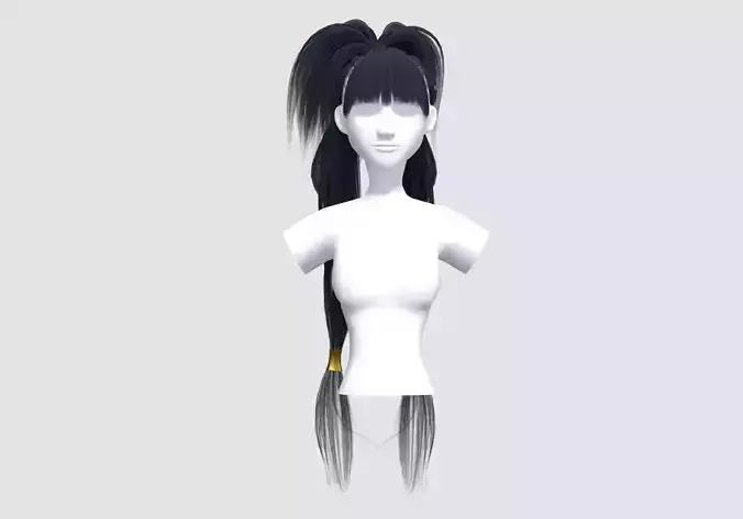 Up Ponytails Hairstyle 