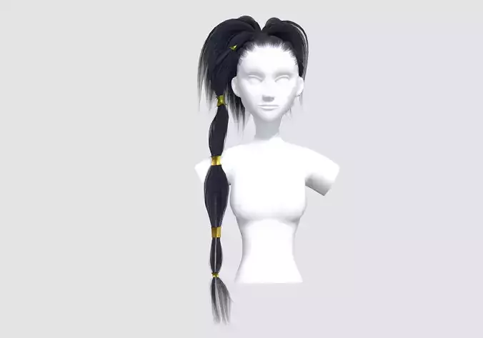 Stylized Pigtail Hairstyle 