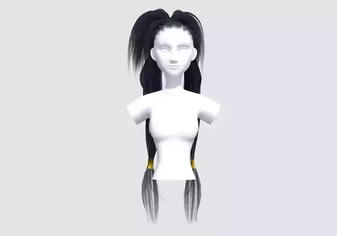 Ponytails Up Hairstyle 