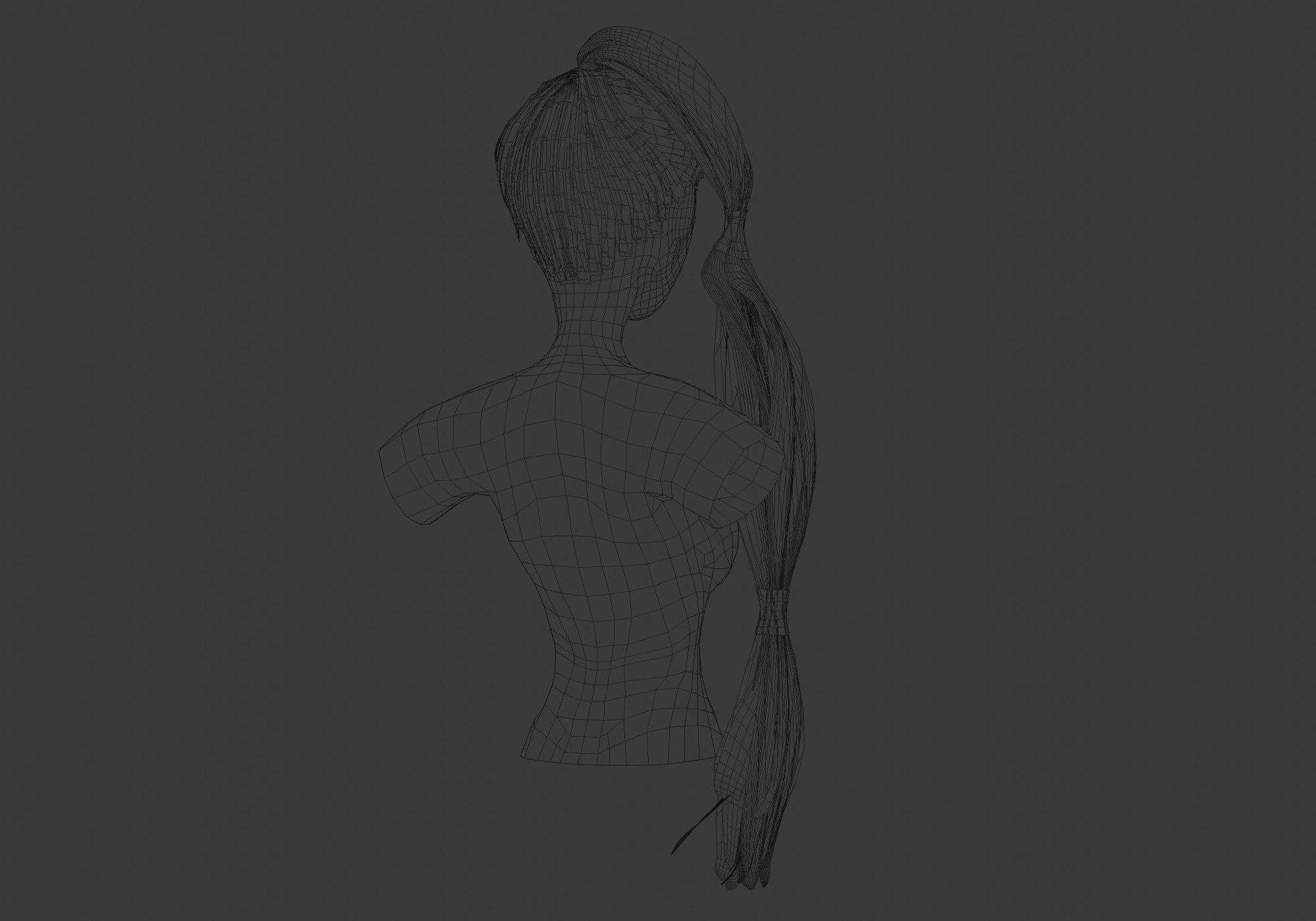 Ponytail Up Hairstyle 3D model_8