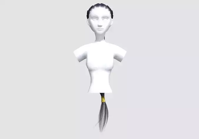Pigtail Stylized Hairstyle 