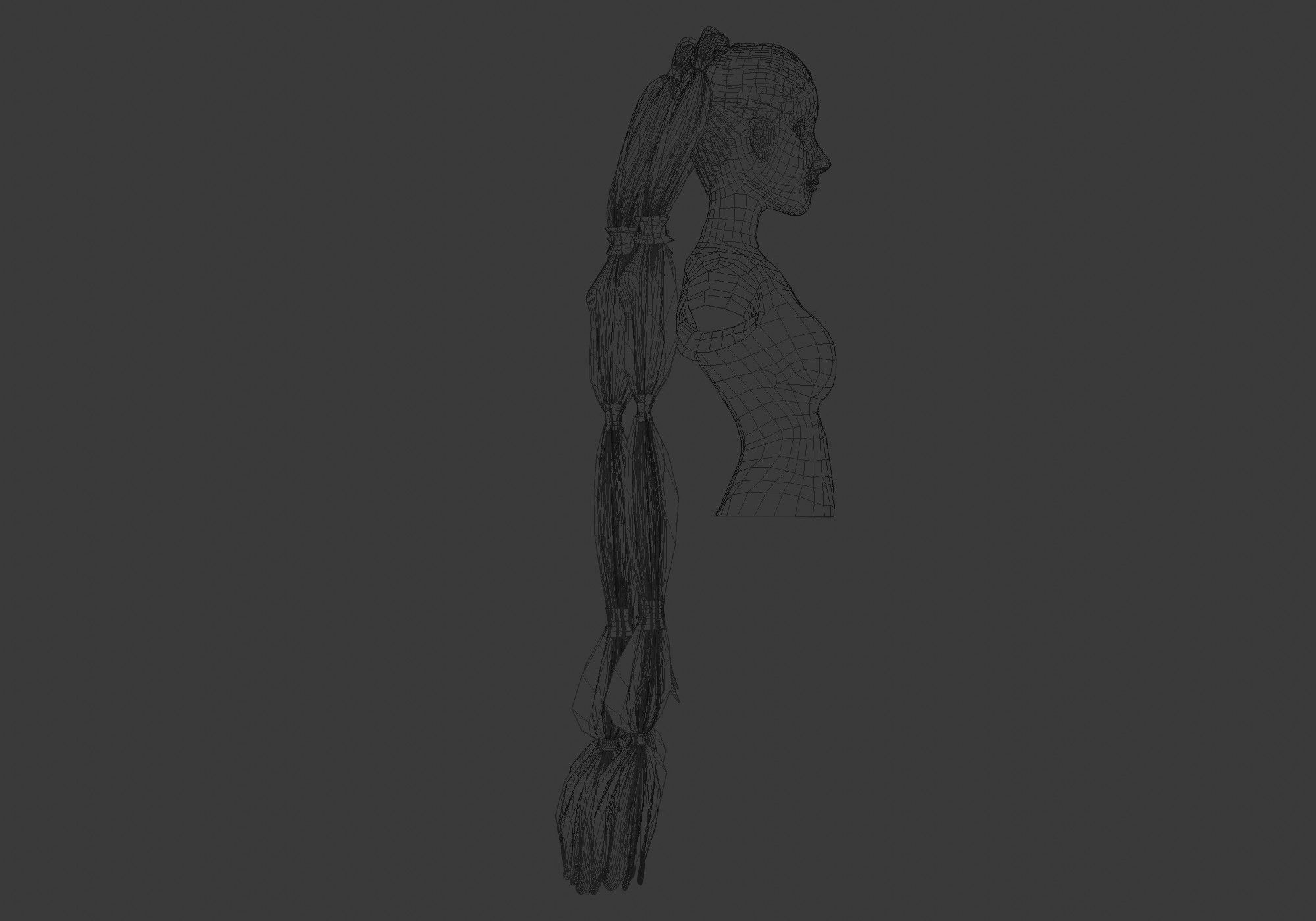 Long Pigtails Hairstyle 3D model_7