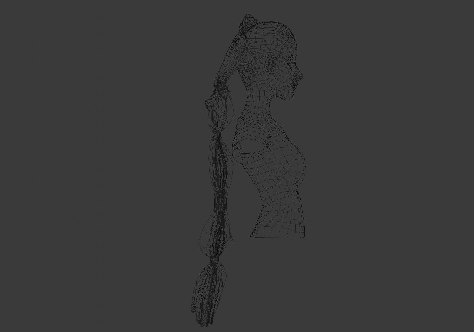 Long Pigtail Hairstyle  3D model_7