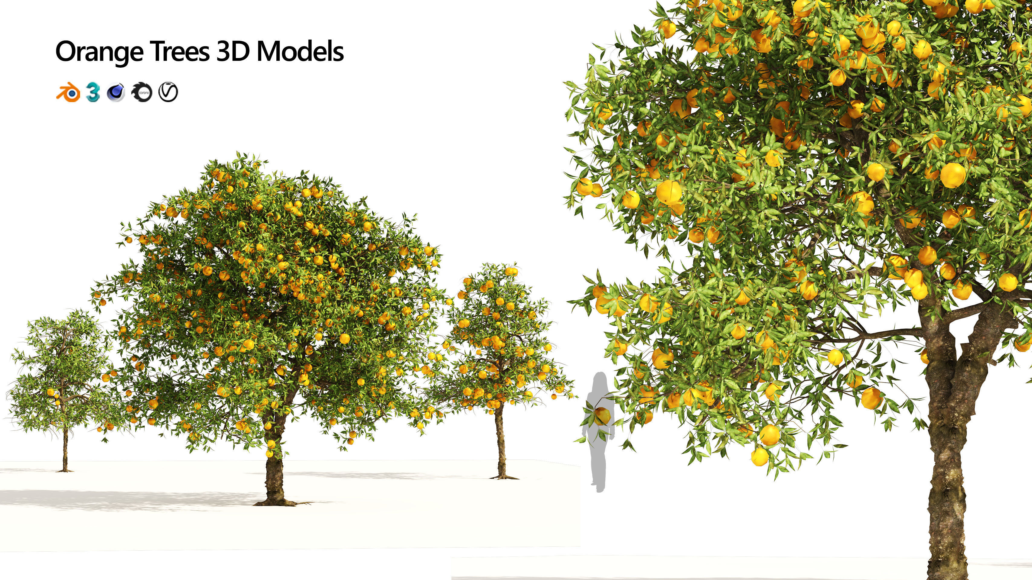 Orange fruit tree Low-poly 3D model_1