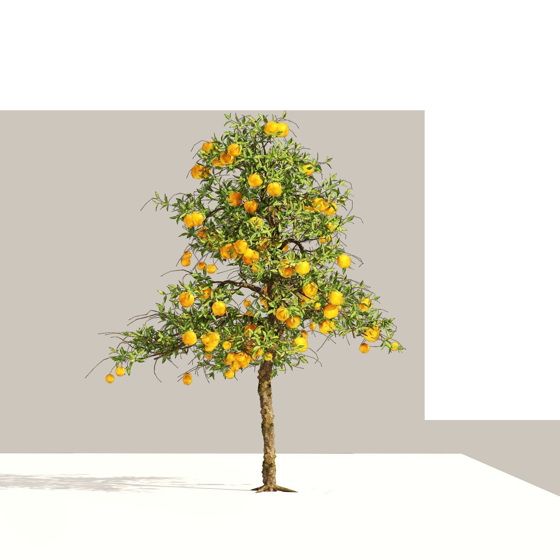 Orange fruit tree Low-poly 3D model_8