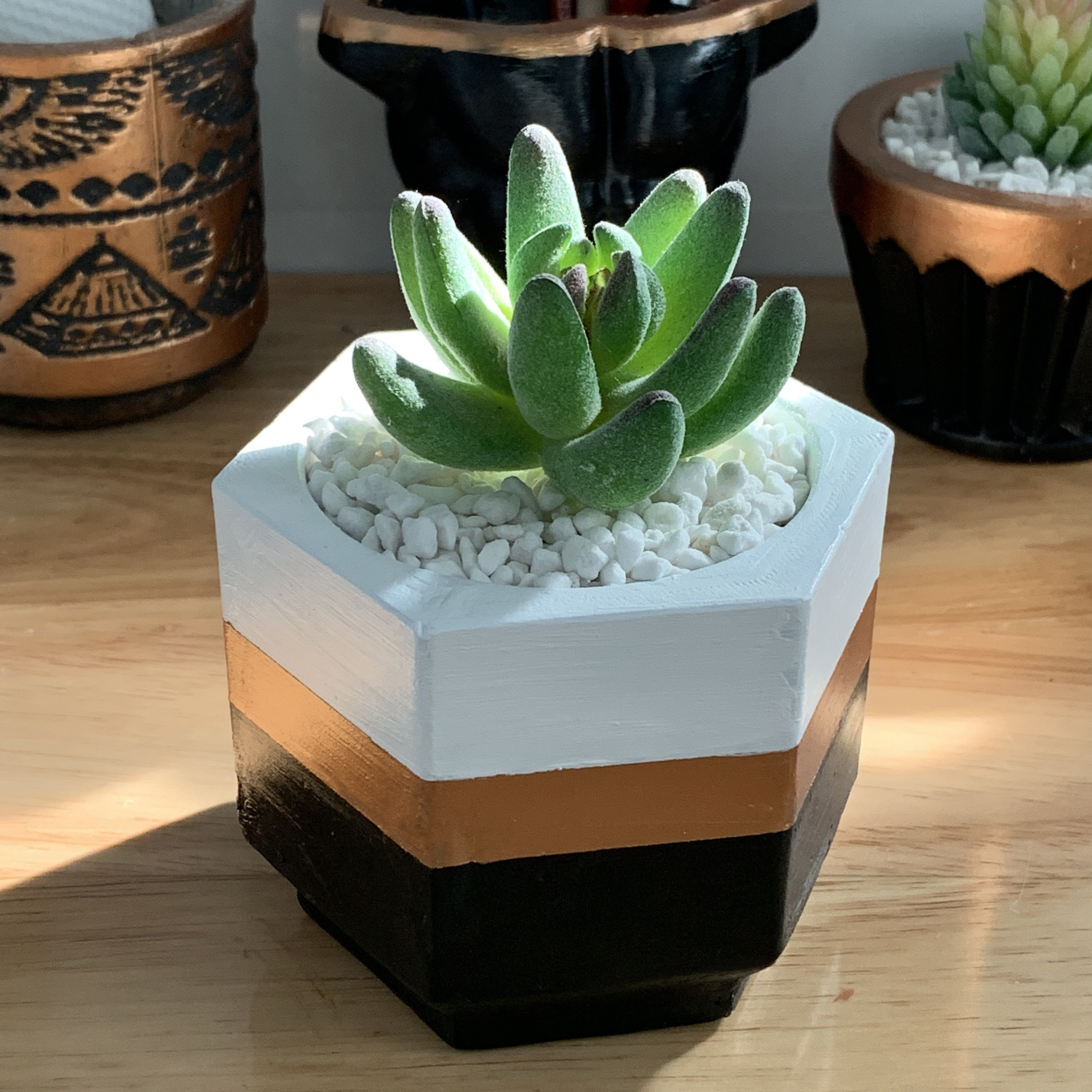 Hex Succulent Pot mold - 3D print mould 3D print model_2