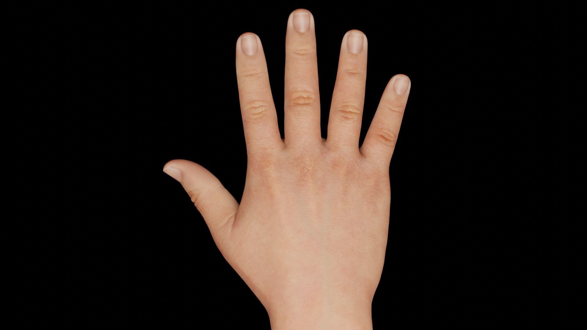 Right Hand Rigged Low-poly 3D model_3