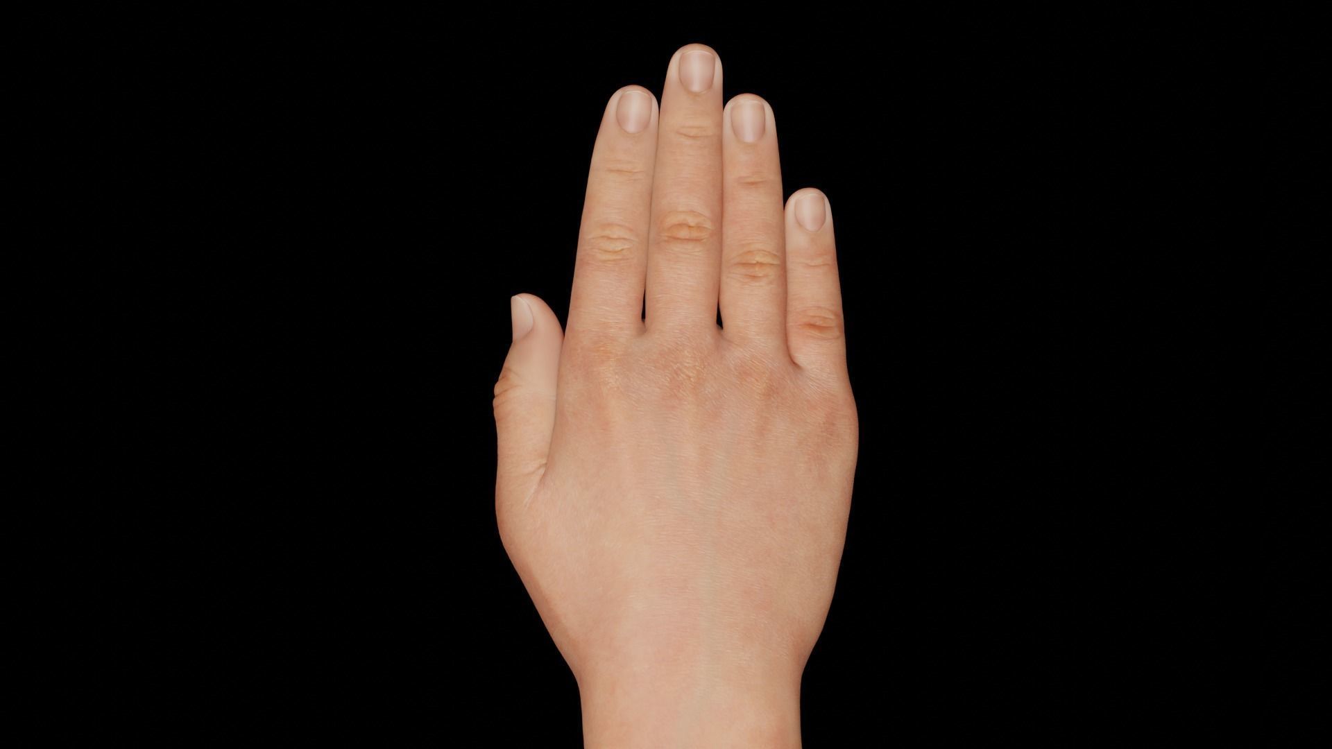 Right Hand Rigged Low-poly 3D model_6