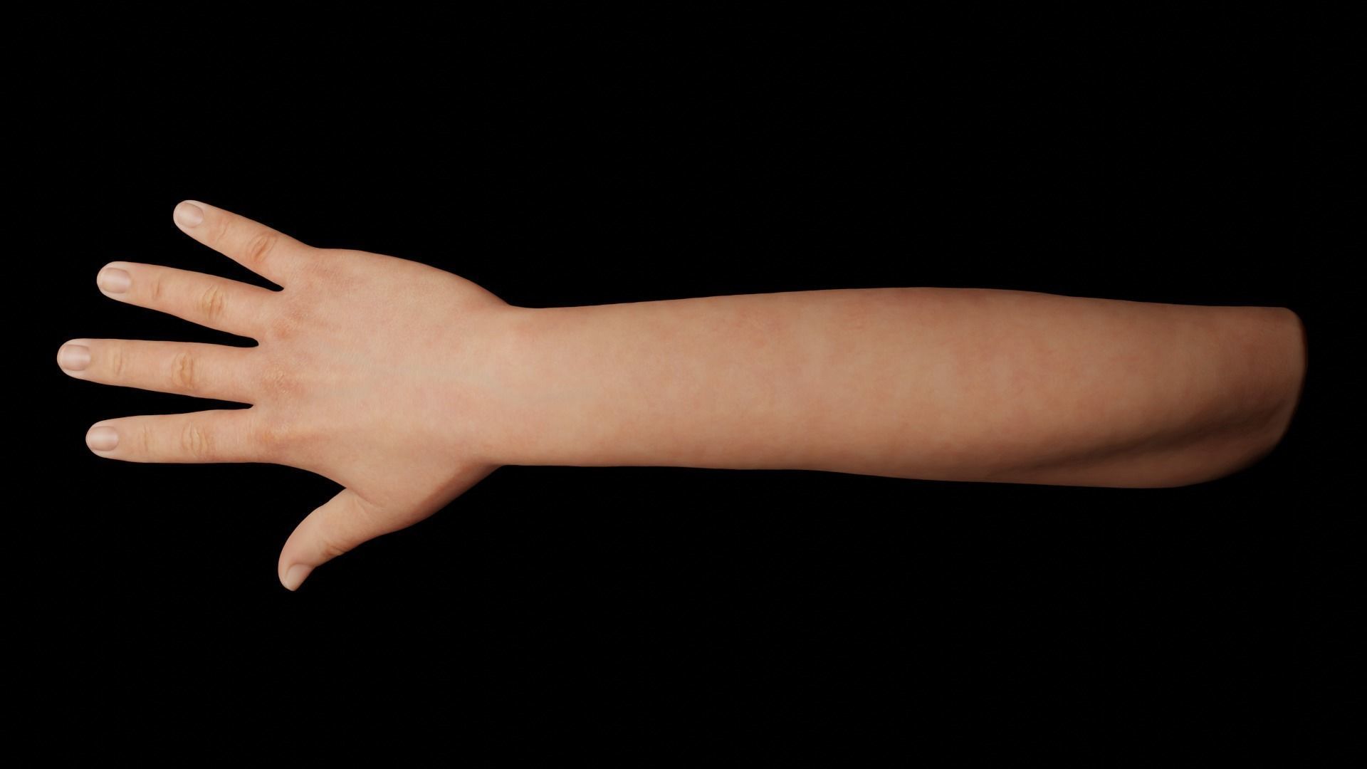 Right Hand Rigged Low-poly 3D model_9