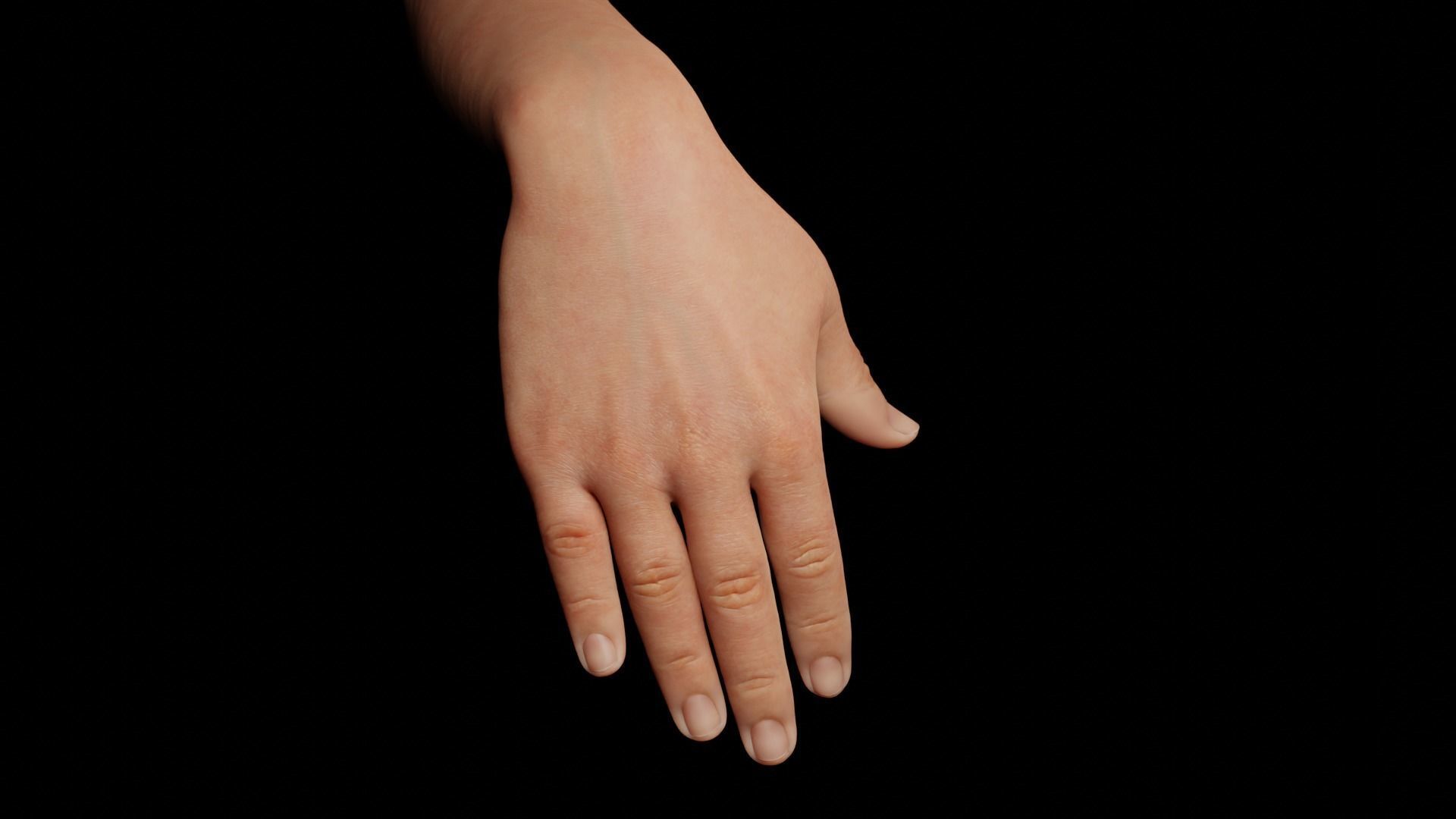 Right Hand Rigged Low-poly 3D model_11