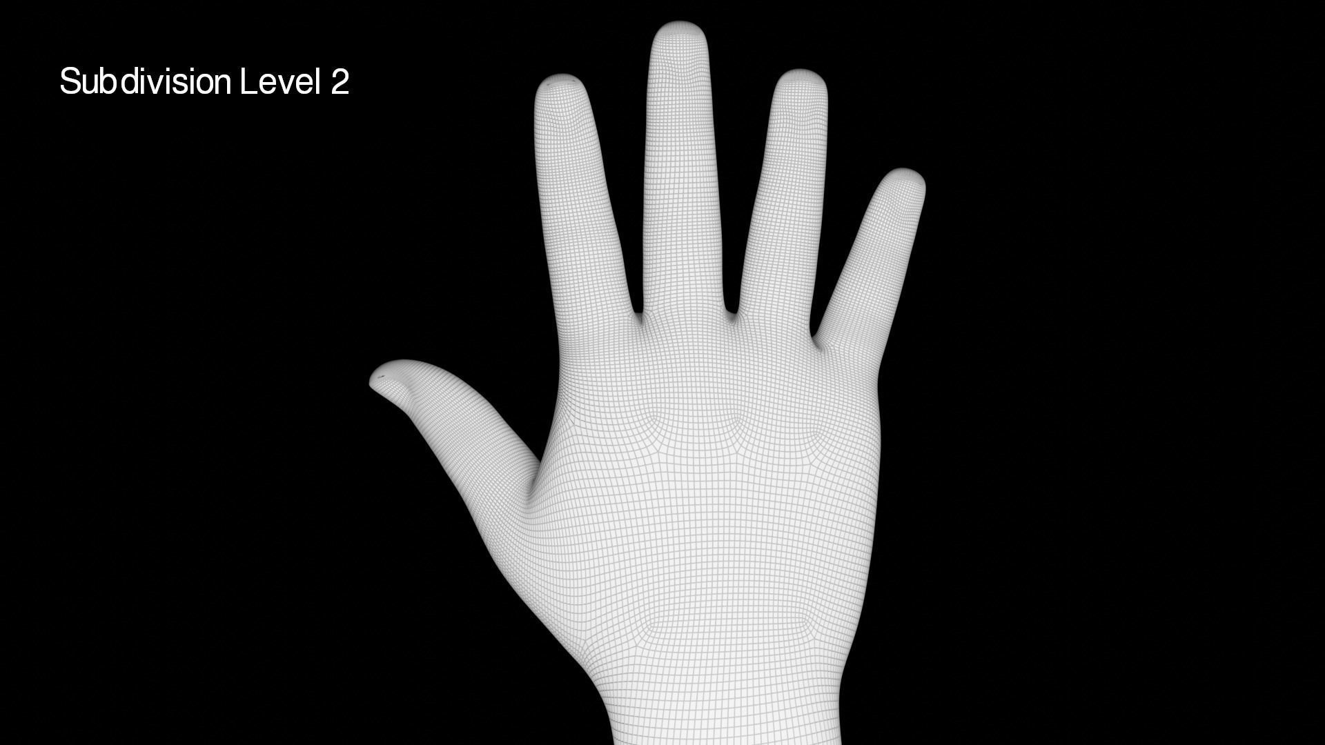 Right Hand Rigged Low-poly 3D model_16