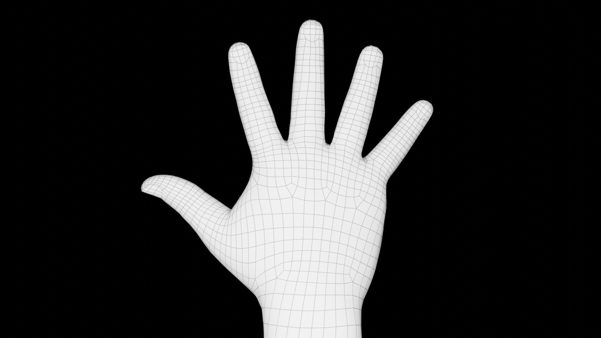 Right Hand Rigged Low-poly 3D model_20