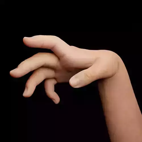 Right Hand Rigged Low-poly 3D model