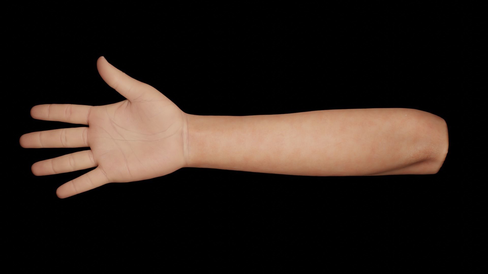 Right Hand Rigged Low-poly 3D model_10