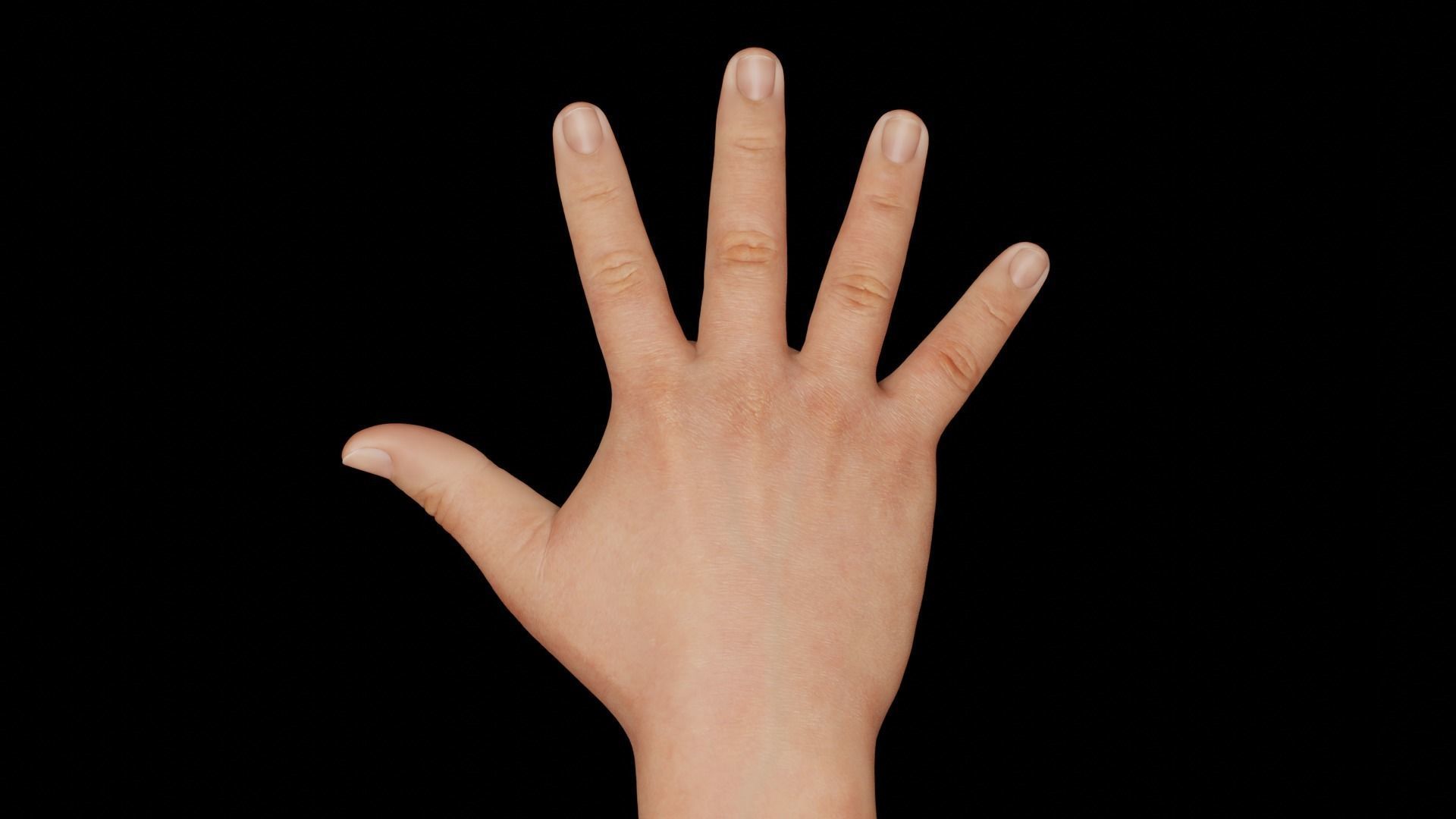 Right Hand Rigged Low-poly 3D model_7