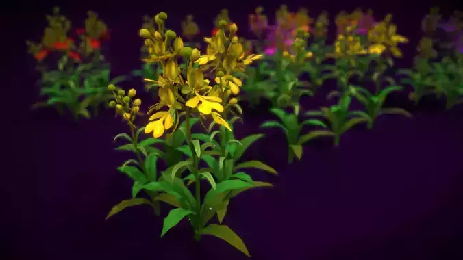Flower Habenaria Rhodocheila