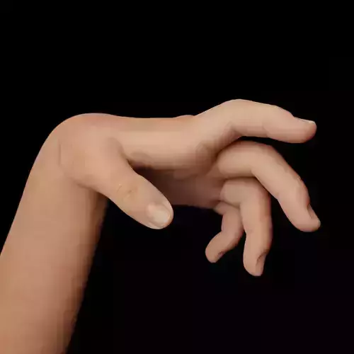 Left Hand Rigged Low-poly 3D model