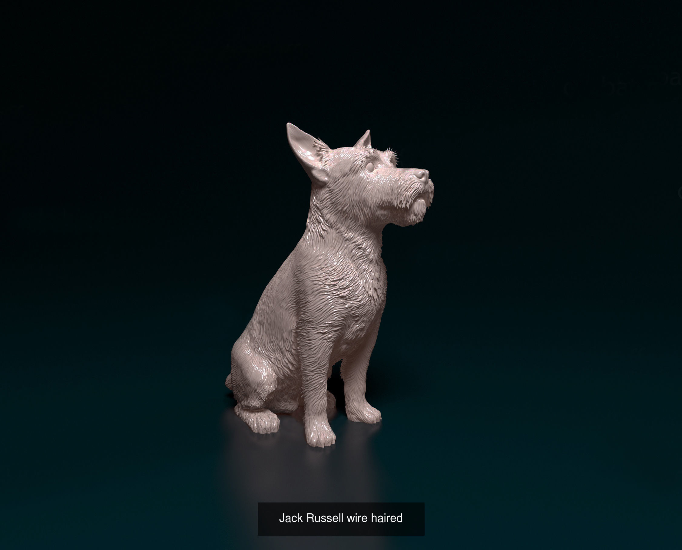 playstationetworkmgl collection dog _10