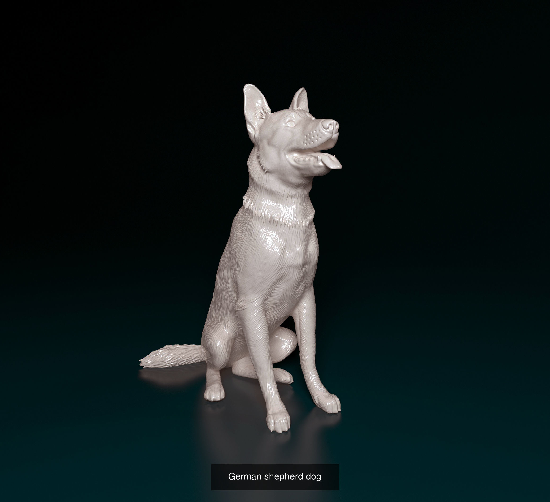 playstationetworkmgl collection dog _6