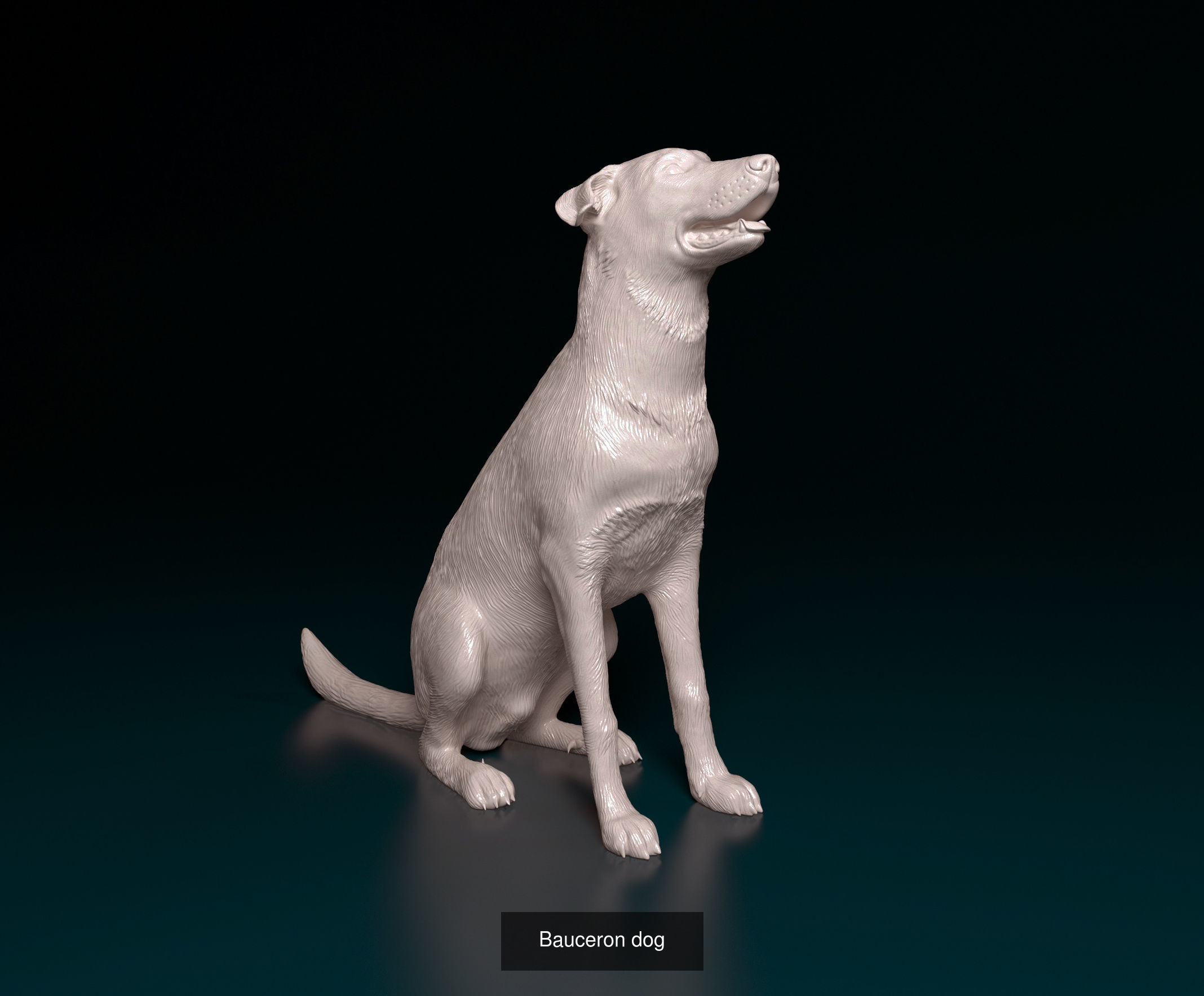 playstationetworkmgl collection dog _1