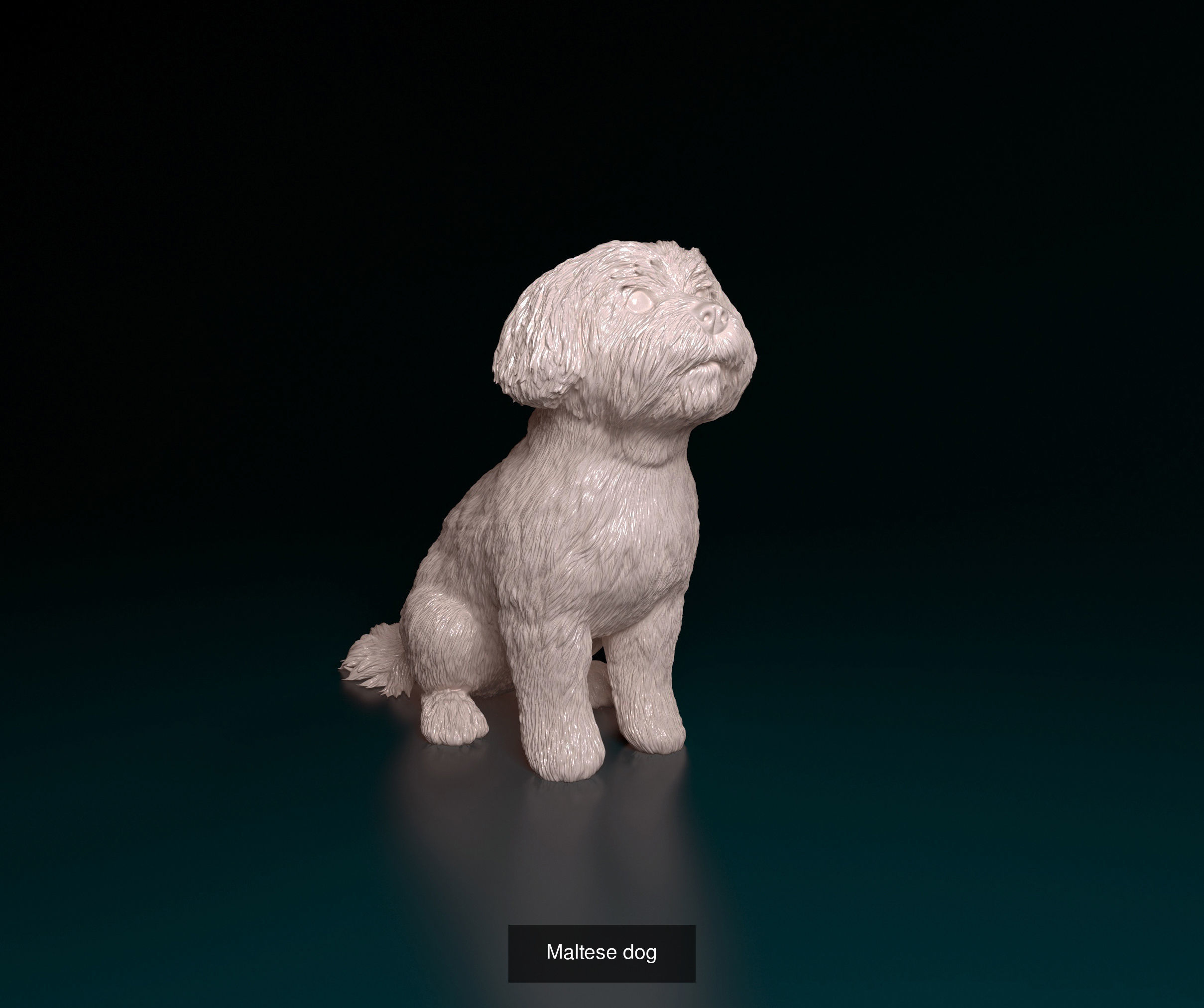 playstationetworkmgl collection dog _8