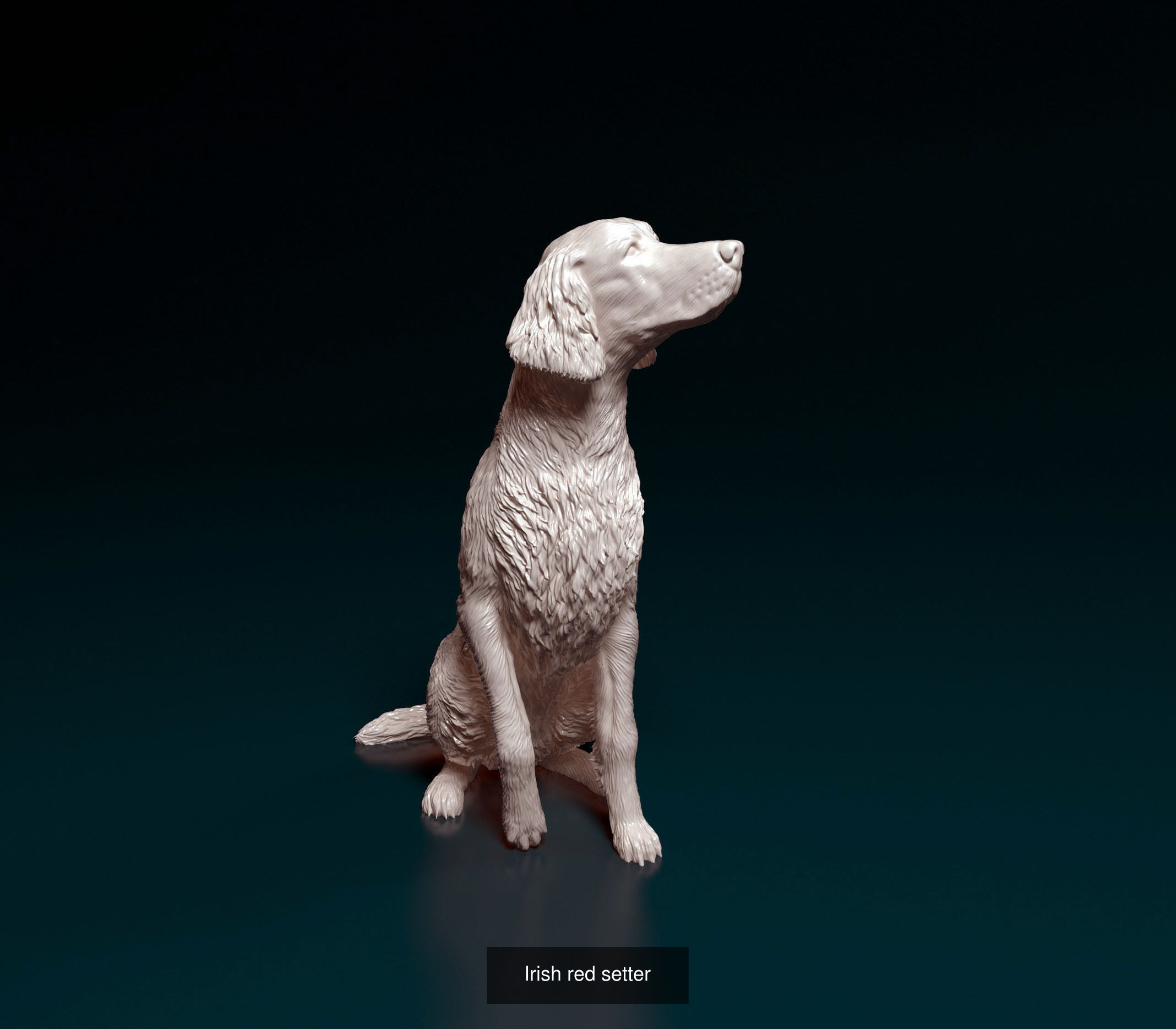 playstationetworkmgl collection dog _7