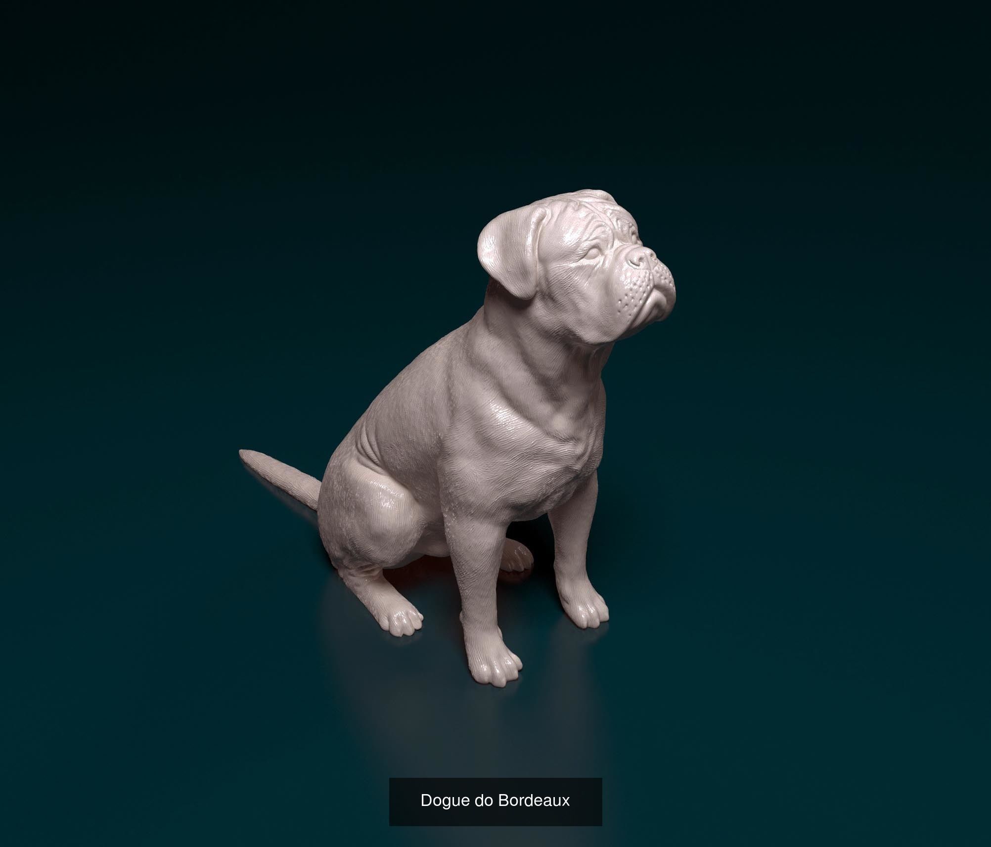 playstationetworkmgl collection dog _5