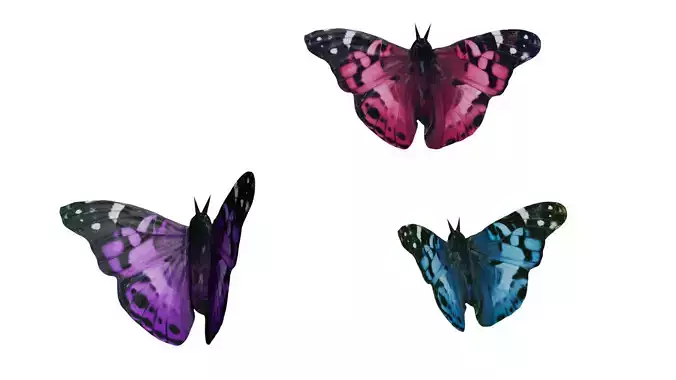 Butterfly obj and texture