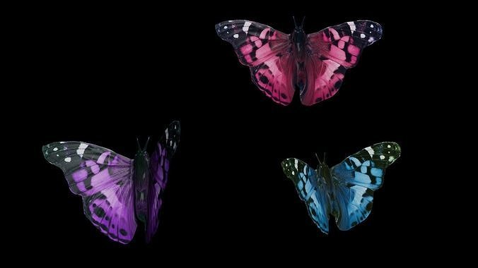 Butterfly obj and texture 3D model