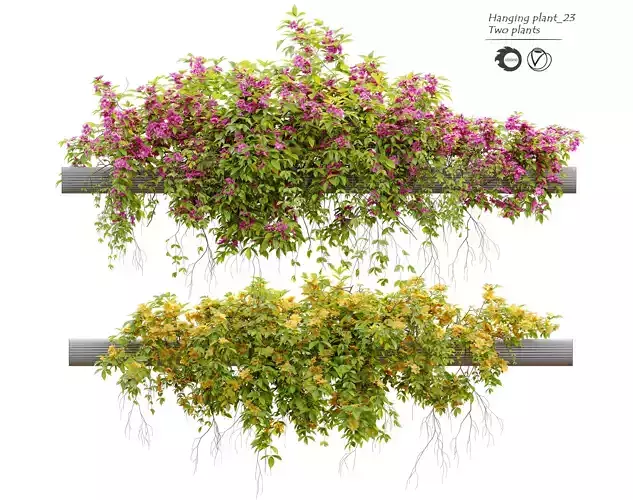 Hanging Plant 23