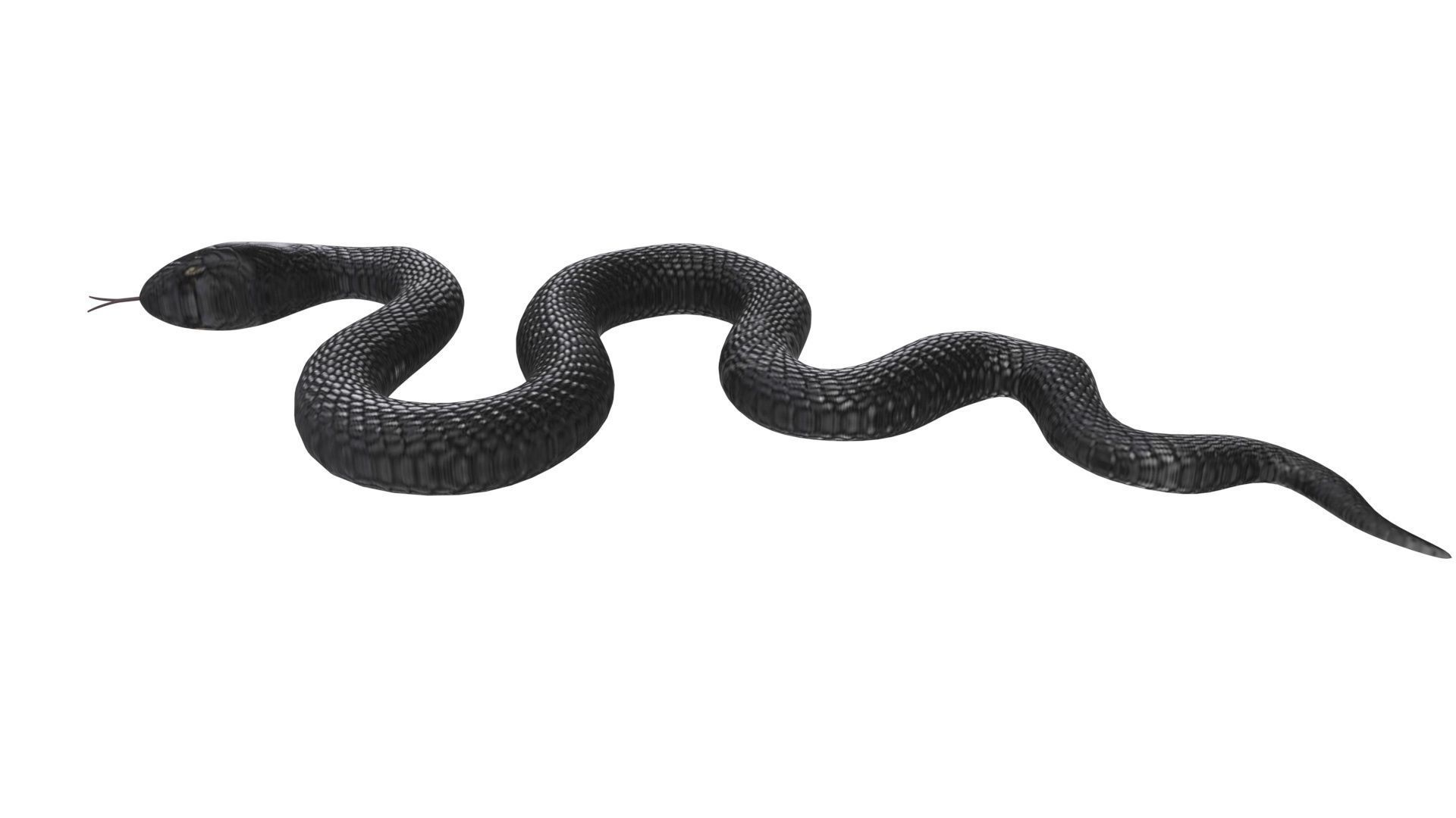 Snake 3D model_6