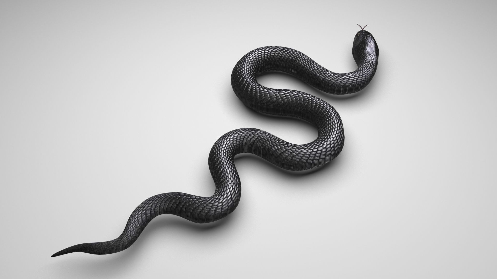 Snake 3D model_1