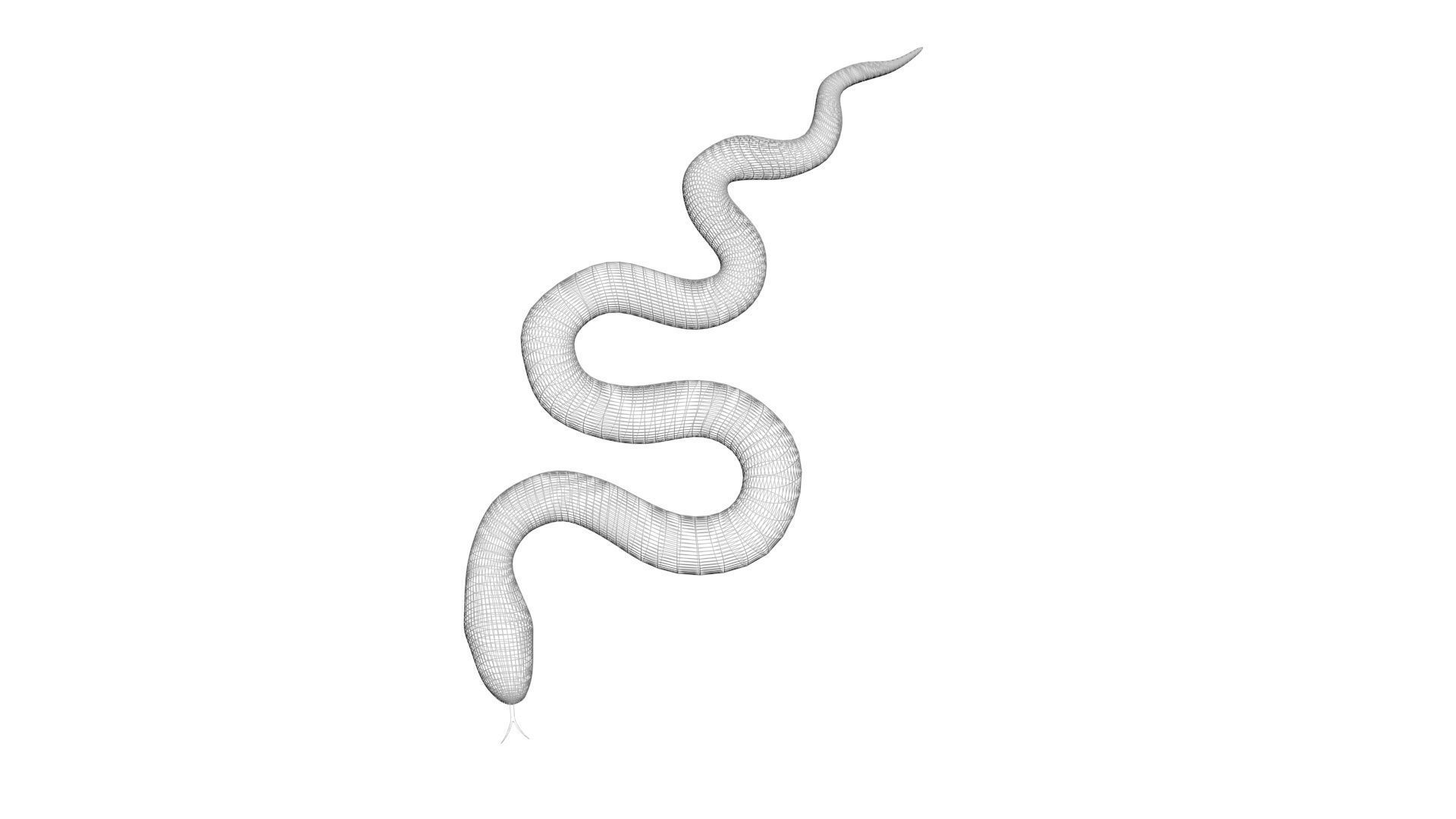 Snake 3D model_15