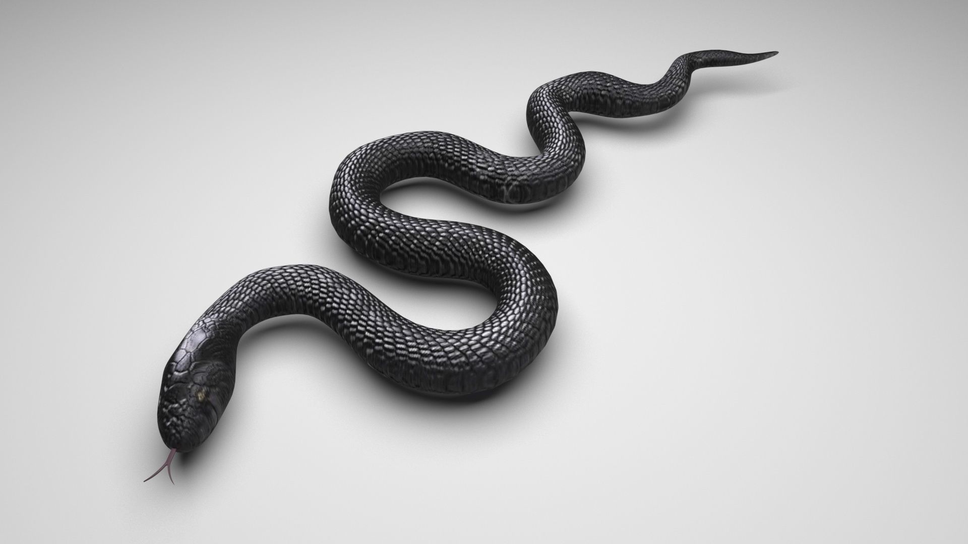 Snake 3D model_3