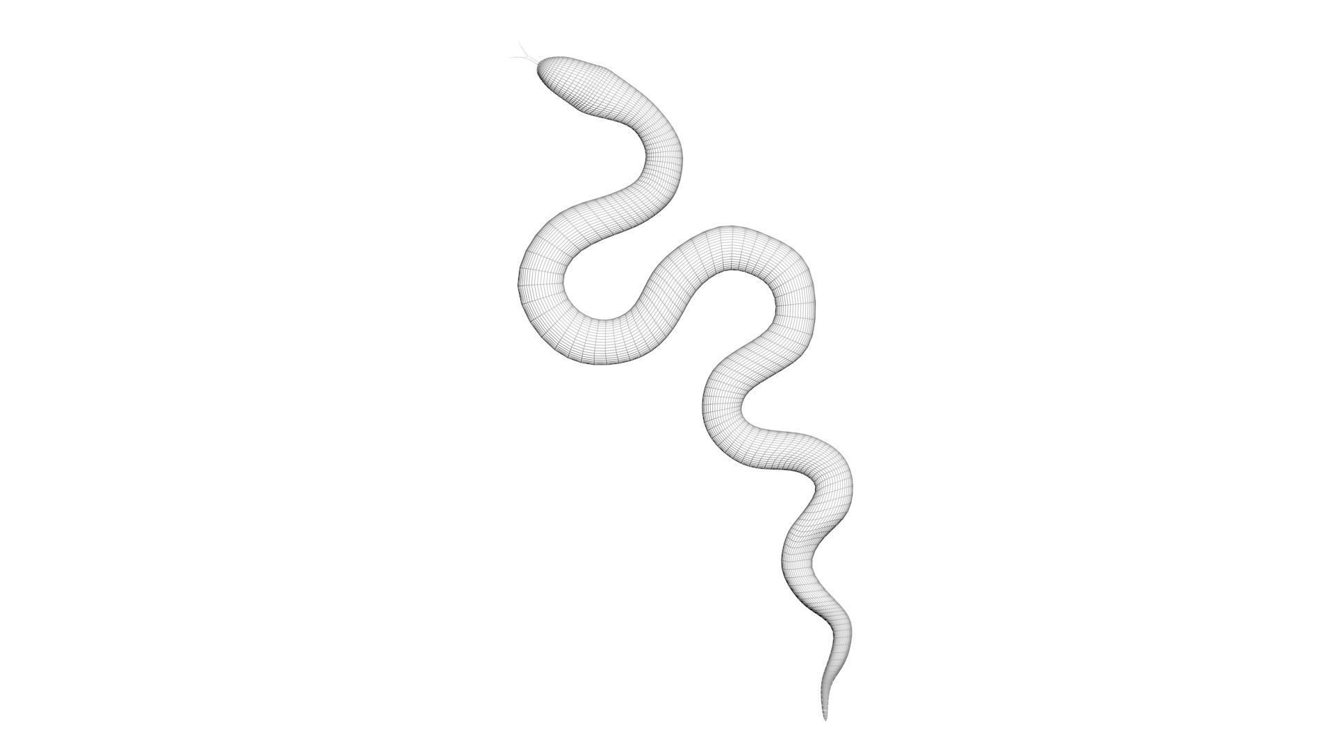 Snake 3D model_18