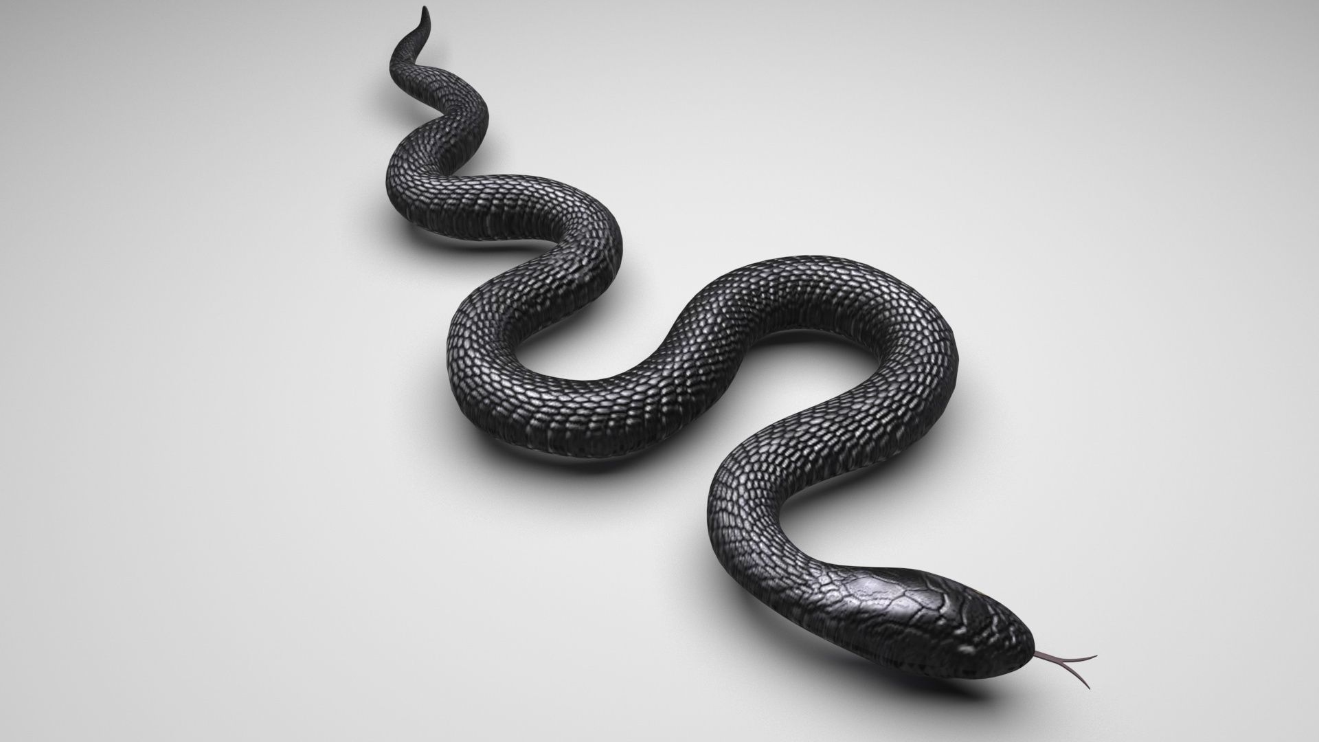Snake 3D model_2