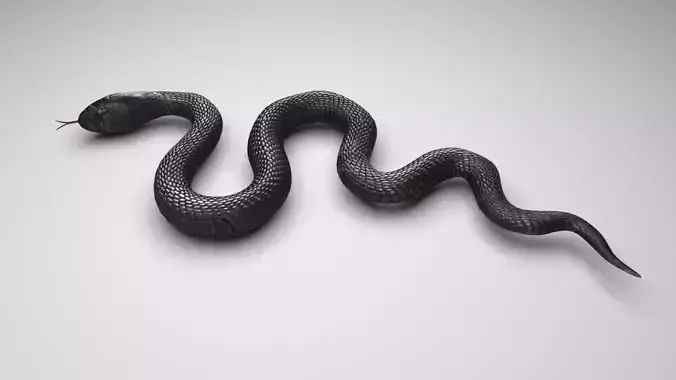 Snake 3D model