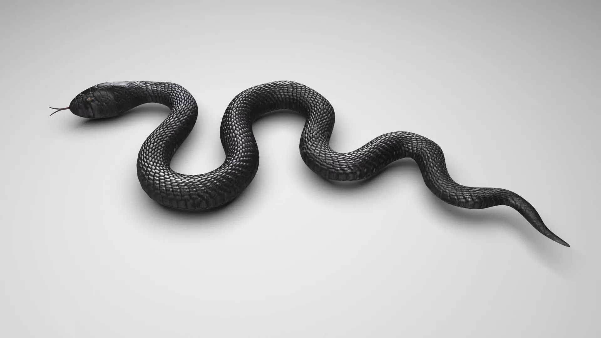 Snake 3D model_0