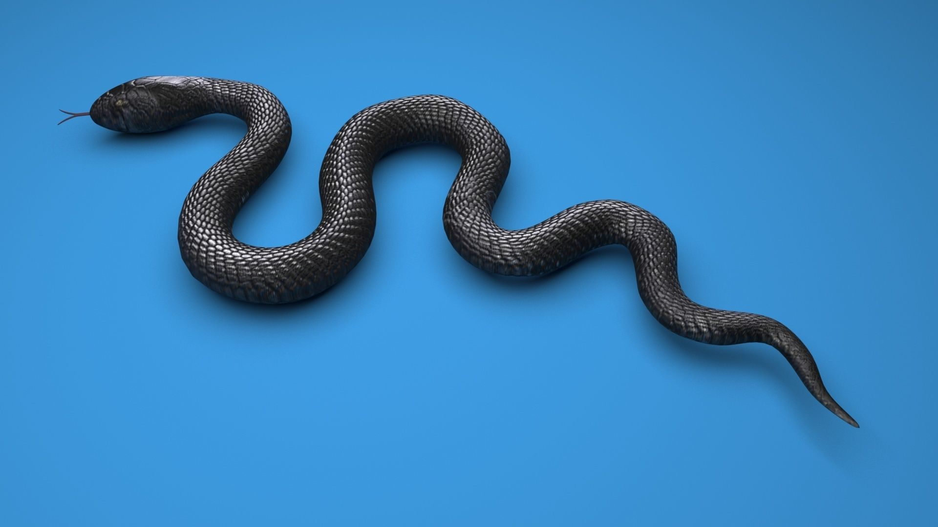 Snake 3D model_4