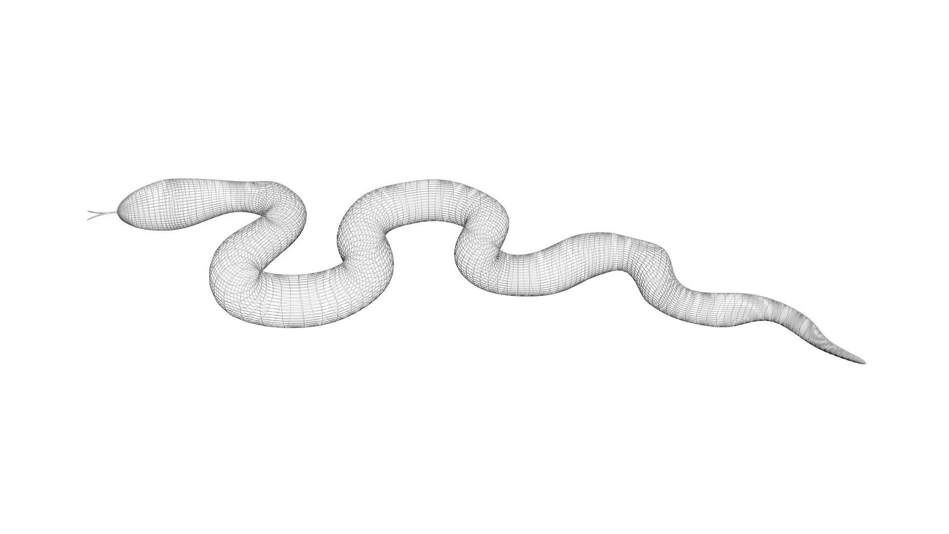 Snake 3D model_12